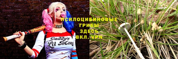 не бодяженный Абдулино