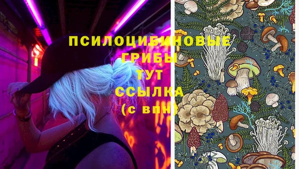 амф Абаза