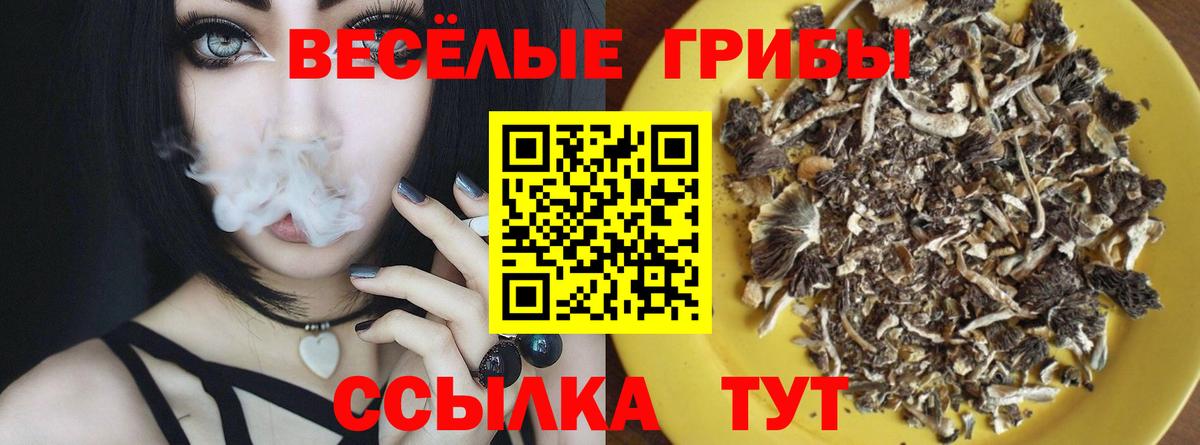 Псилоцибиновые грибы Cubensis Железноводск